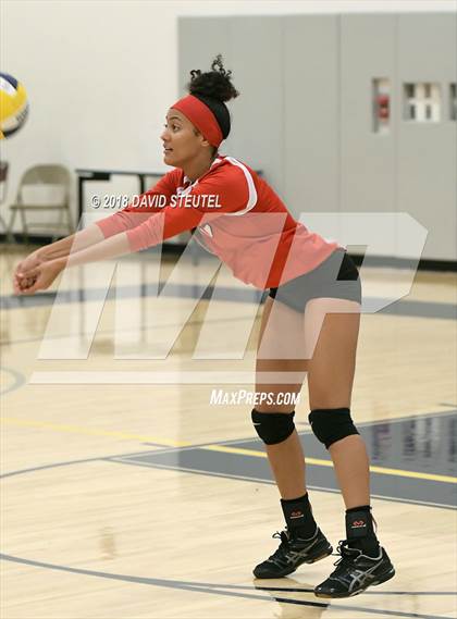 Thumbnail 2 in Antelope @ Inderkum photogallery.