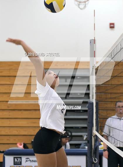 Thumbnail 3 in Antelope @ Inderkum photogallery.