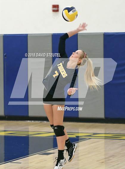Thumbnail 2 in Antelope @ Inderkum photogallery.