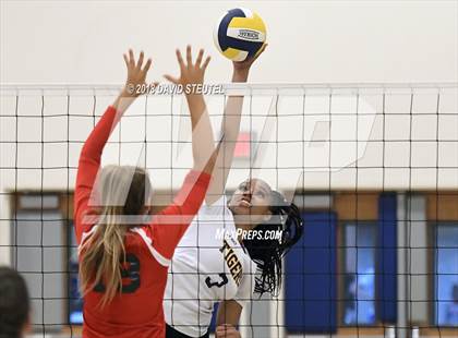 Thumbnail 1 in Antelope @ Inderkum photogallery.