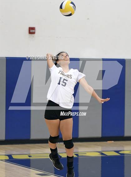 Thumbnail 2 in Antelope @ Inderkum photogallery.