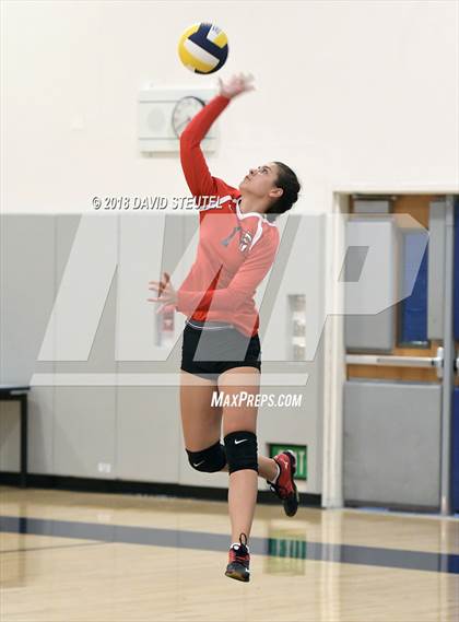 Thumbnail 3 in Antelope @ Inderkum photogallery.