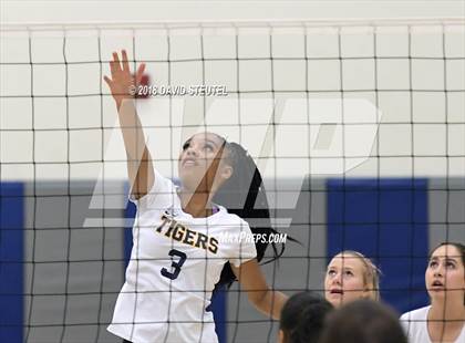 Thumbnail 2 in Antelope @ Inderkum photogallery.