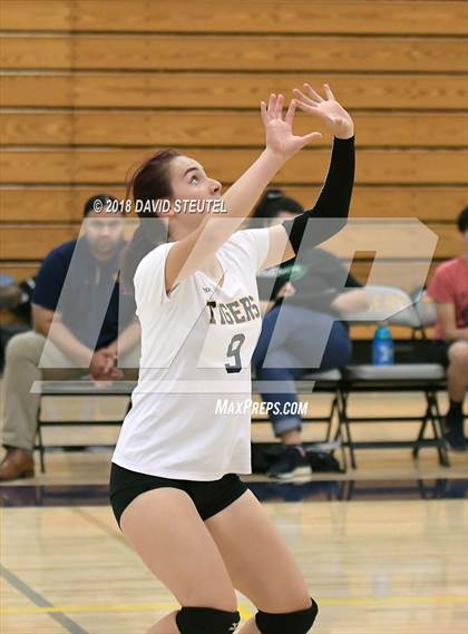 Thumbnail 3 in Antelope @ Inderkum photogallery.