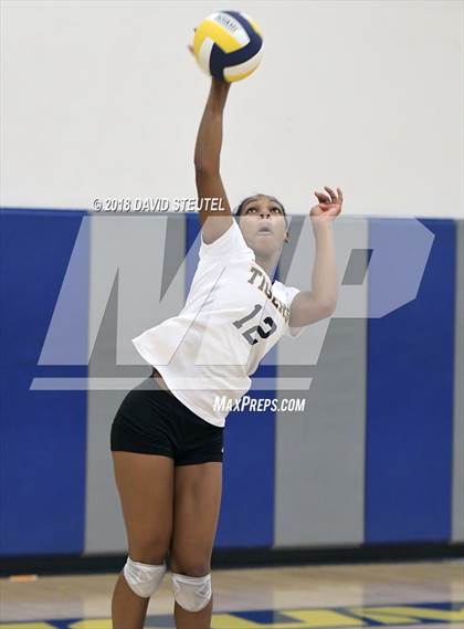 Thumbnail 1 in Antelope @ Inderkum photogallery.