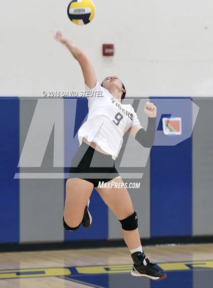 Thumbnail 2 in Antelope @ Inderkum photogallery.