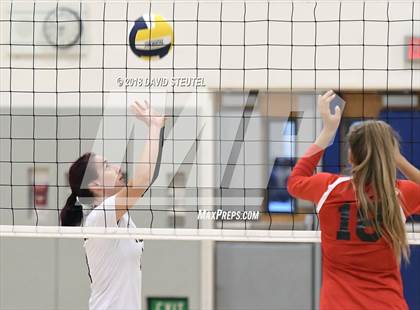 Thumbnail 3 in Antelope @ Inderkum photogallery.
