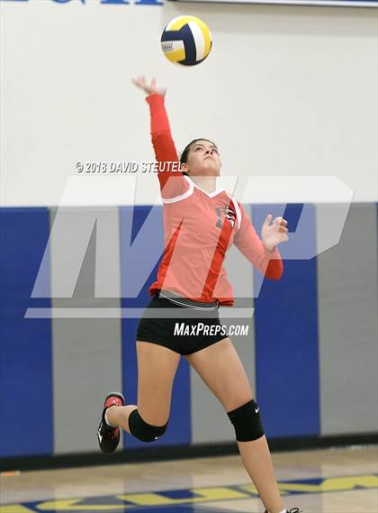 Thumbnail 3 in Antelope @ Inderkum photogallery.