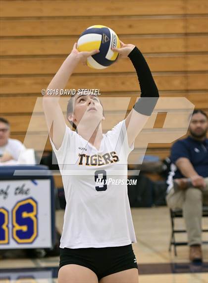 Thumbnail 1 in Antelope @ Inderkum photogallery.