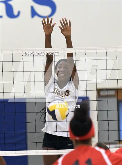 Thumbnail 2 in Antelope @ Inderkum photogallery.