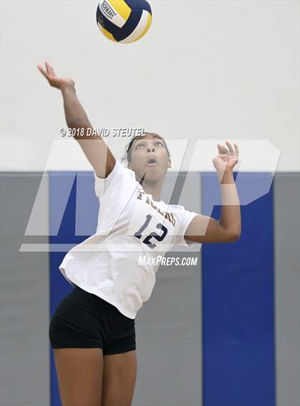 Thumbnail 2 in Antelope @ Inderkum photogallery.