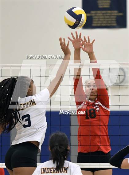Thumbnail 3 in Antelope @ Inderkum photogallery.