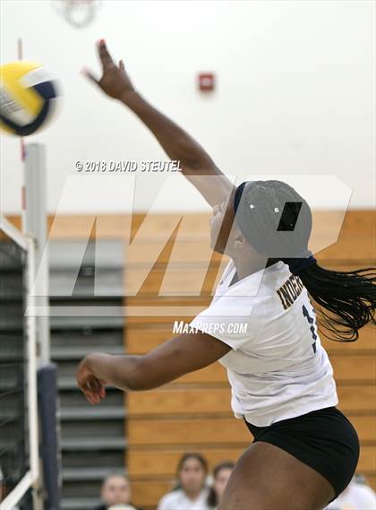 Thumbnail 1 in Antelope @ Inderkum photogallery.