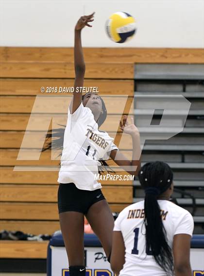 Thumbnail 3 in Antelope @ Inderkum photogallery.