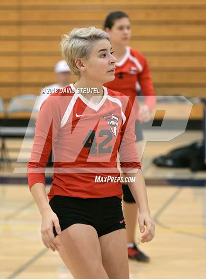 Thumbnail 3 in Antelope @ Inderkum photogallery.