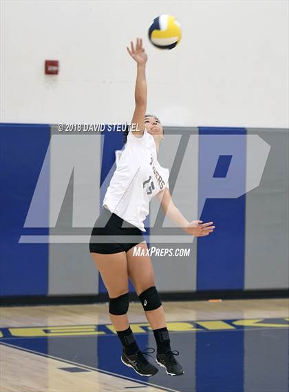 Thumbnail 3 in Antelope @ Inderkum photogallery.