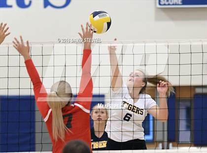 Thumbnail 2 in Antelope @ Inderkum photogallery.