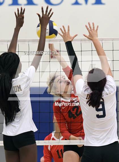 Thumbnail 1 in Antelope @ Inderkum photogallery.