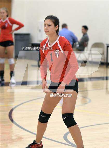 Thumbnail 3 in Antelope @ Inderkum photogallery.