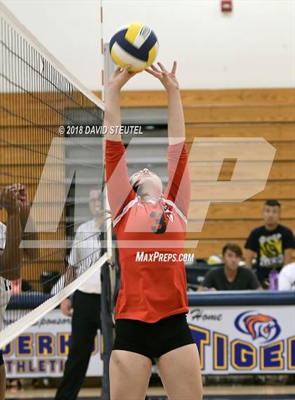 Thumbnail 3 in Antelope @ Inderkum photogallery.