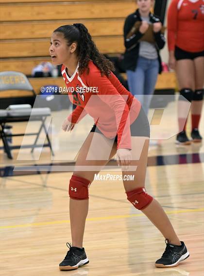 Thumbnail 3 in Antelope @ Inderkum photogallery.