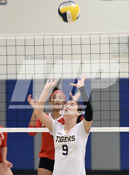 Thumbnail 1 in Antelope @ Inderkum photogallery.