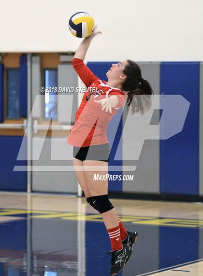 Thumbnail 3 in Antelope @ Inderkum photogallery.