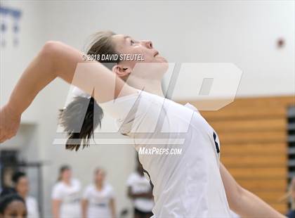 Thumbnail 1 in Antelope @ Inderkum photogallery.