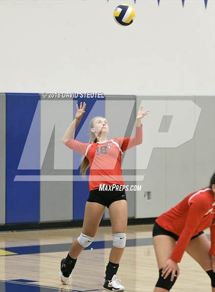 Thumbnail 3 in Antelope @ Inderkum photogallery.
