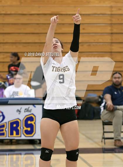 Thumbnail 1 in Antelope @ Inderkum photogallery.