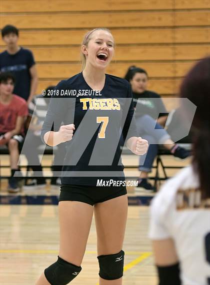 Thumbnail 3 in Antelope @ Inderkum photogallery.