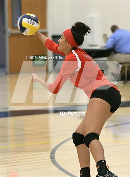 Thumbnail 2 in Antelope @ Inderkum photogallery.