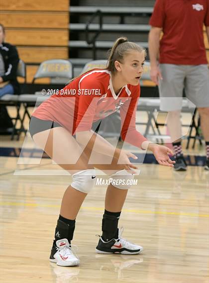 Thumbnail 3 in Antelope @ Inderkum photogallery.