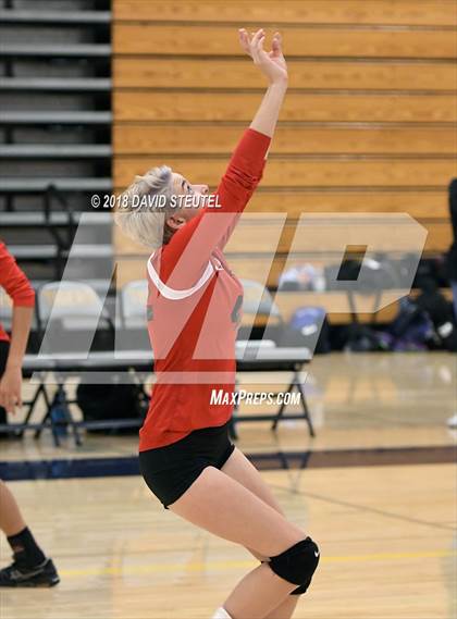 Thumbnail 1 in Antelope @ Inderkum photogallery.