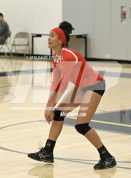 Thumbnail 1 in Antelope @ Inderkum photogallery.