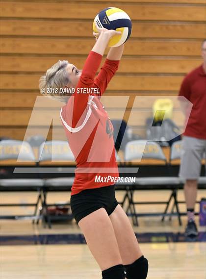 Thumbnail 3 in Antelope @ Inderkum photogallery.