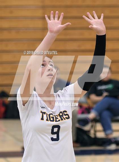 Thumbnail 1 in Antelope @ Inderkum photogallery.
