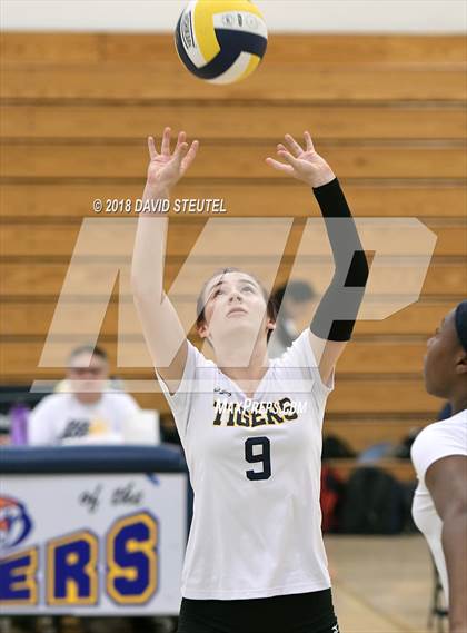 Thumbnail 3 in Antelope @ Inderkum photogallery.