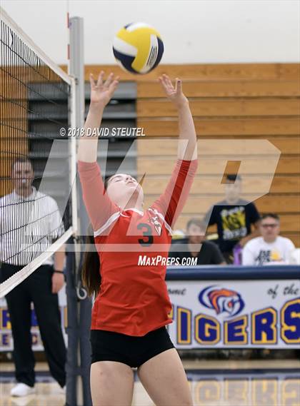 Thumbnail 1 in Antelope @ Inderkum photogallery.