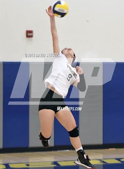 Thumbnail 1 in Antelope @ Inderkum photogallery.