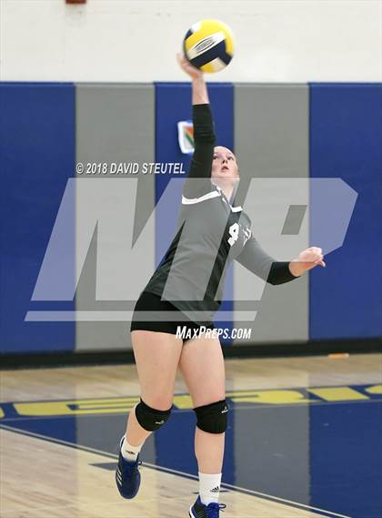 Thumbnail 2 in Antelope @ Inderkum photogallery.
