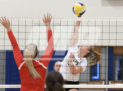 Thumbnail 3 in Antelope @ Inderkum photogallery.