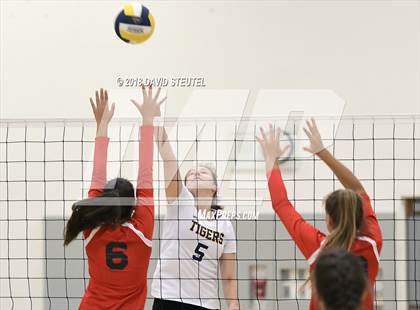 Thumbnail 2 in Antelope @ Inderkum photogallery.