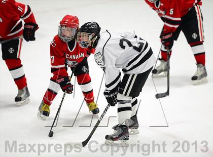 Thumbnail 3 in New Canaan @ Xavier photogallery.
