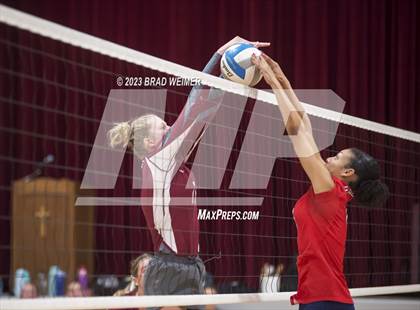 Thumbnail 3 in Central Catholic @ E.D. White photogallery.