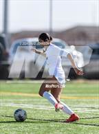 Photo from the gallery "Windsor @ Northridge"