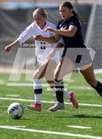 Photo from the gallery "Windsor @ Northridge"