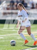 Photo from the gallery "Windsor @ Northridge"