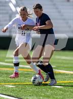Photo from the gallery "Windsor @ Northridge"