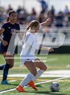 Photo from the gallery "Windsor @ Northridge"